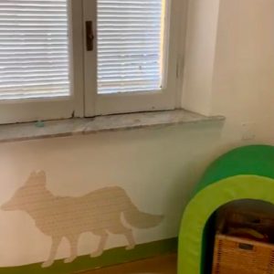 La mia Casetta - Asilo Nido Roma - Foto