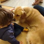 Asilo Nido La mia Casetta - Attività per bambini - Dog Day